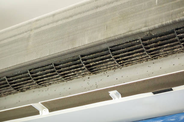 Best Air Duct Cleaning Cost  in Franklin, VA